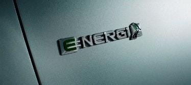 China Ford C-MAX Energi badge